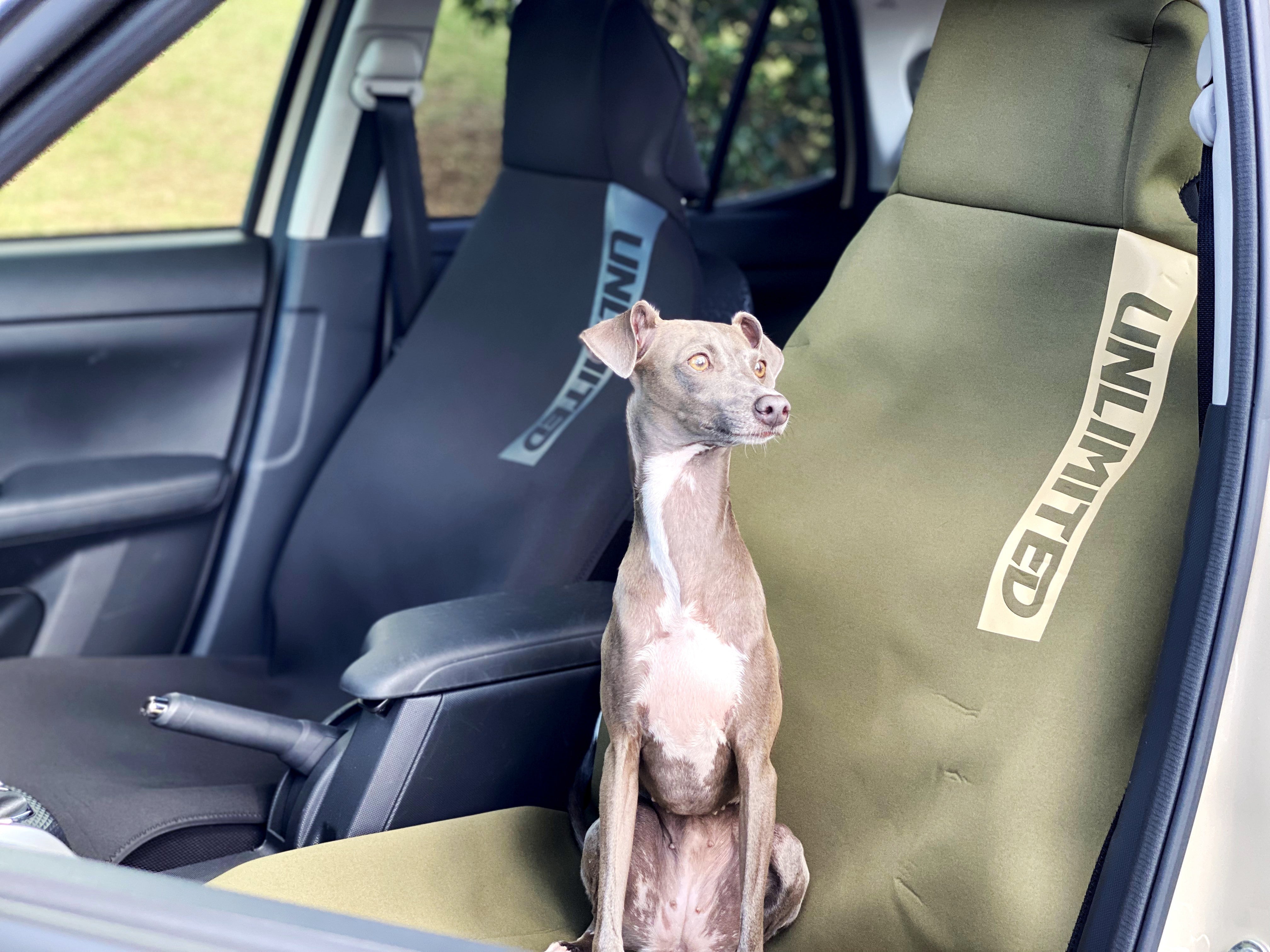 CAR FRONT SEAT COVER