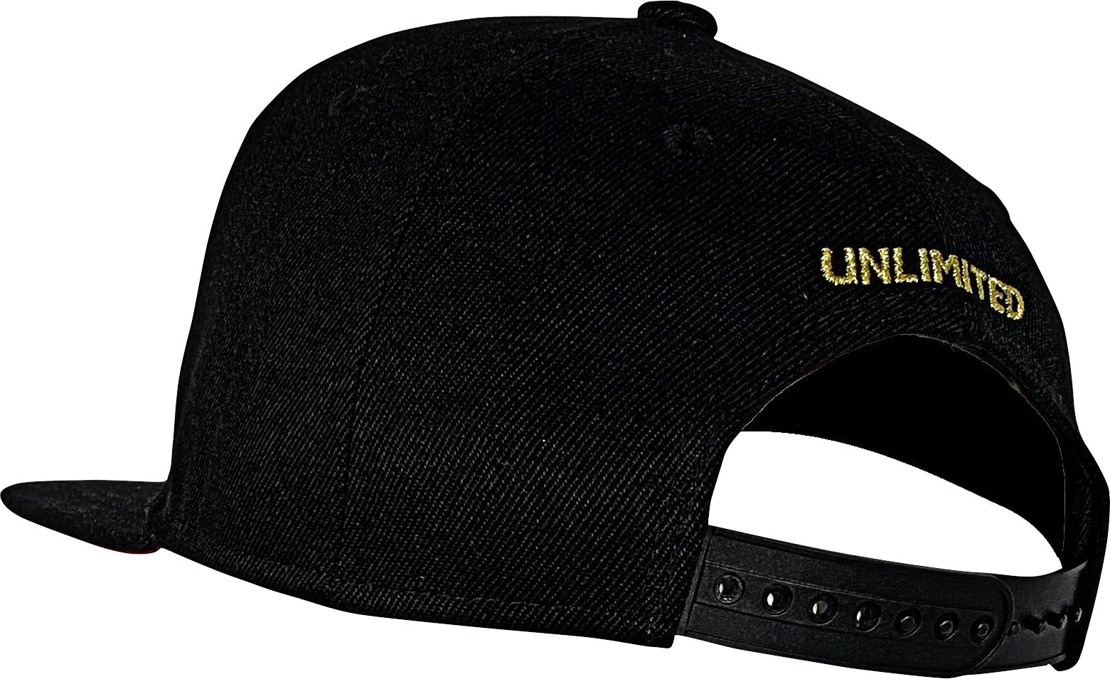 LFGF Snapback Hat