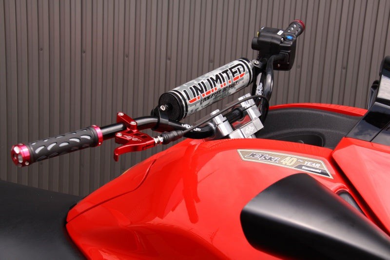 Throttle Lever Type 3